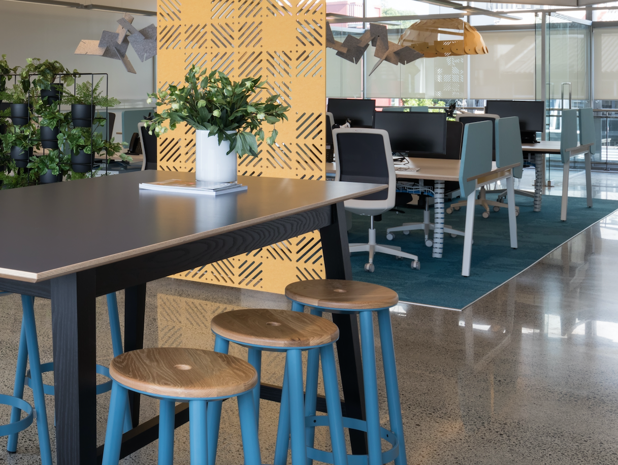 Why New Zealand Is Ditching Open-Plan Classrooms, and What Offices Can Learn