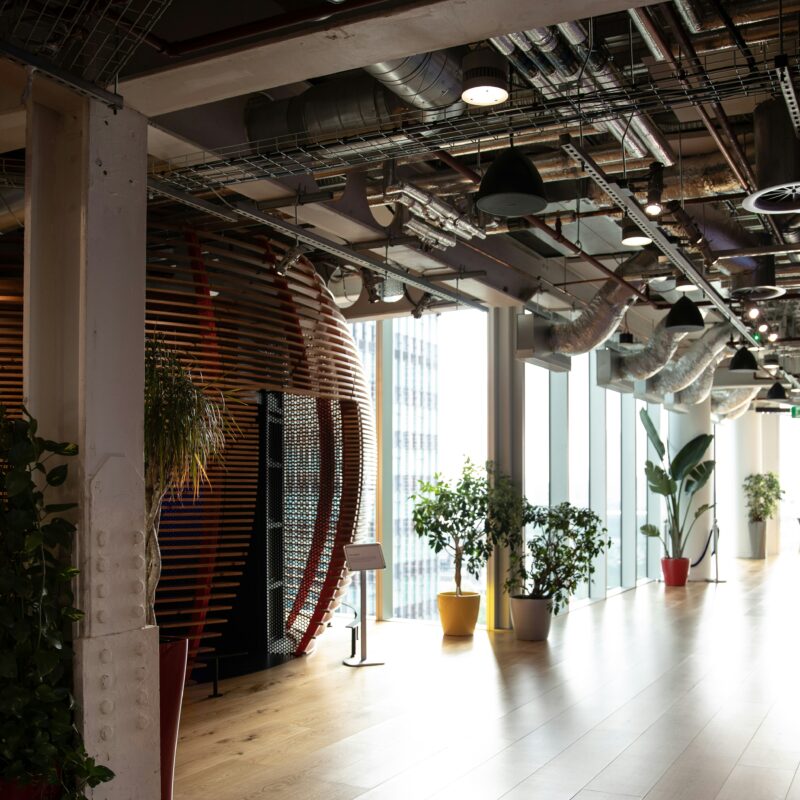 Natural light floods a quiet corridor in a modern office with wooden floors, tall indoor plants, and a sculptural wooden enclosure in the background.