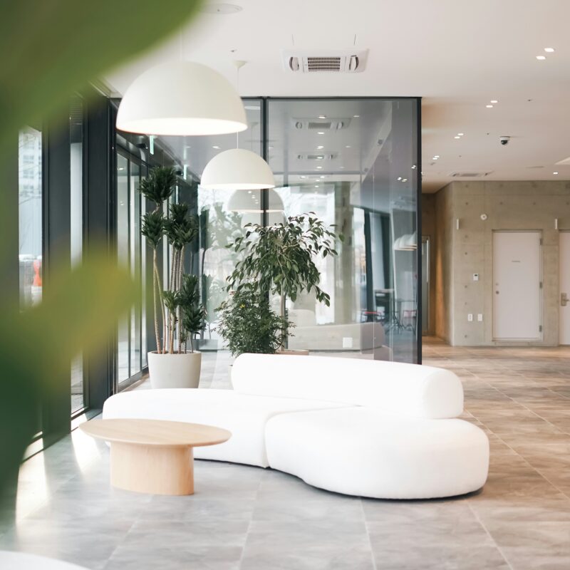 A contemporary open office space with large windows, natural lighting and a large couch, and indoor plants.